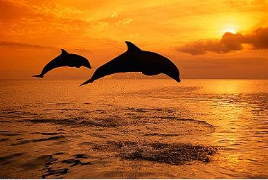 《恶意不息》发布重大更新档 但似乎并没有受到欢迎