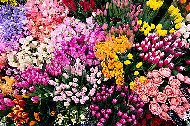 《黑神话：悟空》收费Mod被玩家吐槽：最贵要666元