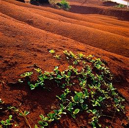 DJ音游《FUSER》将于12月19日关闭服务并停售